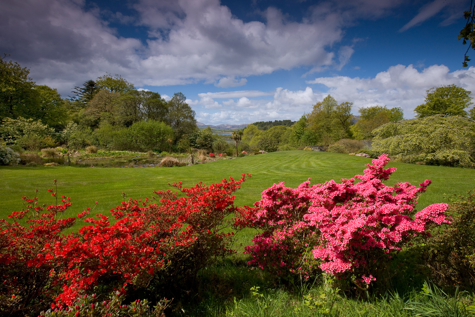 Druimneil House Country house bed & breakfast in Port Appin, Argyll