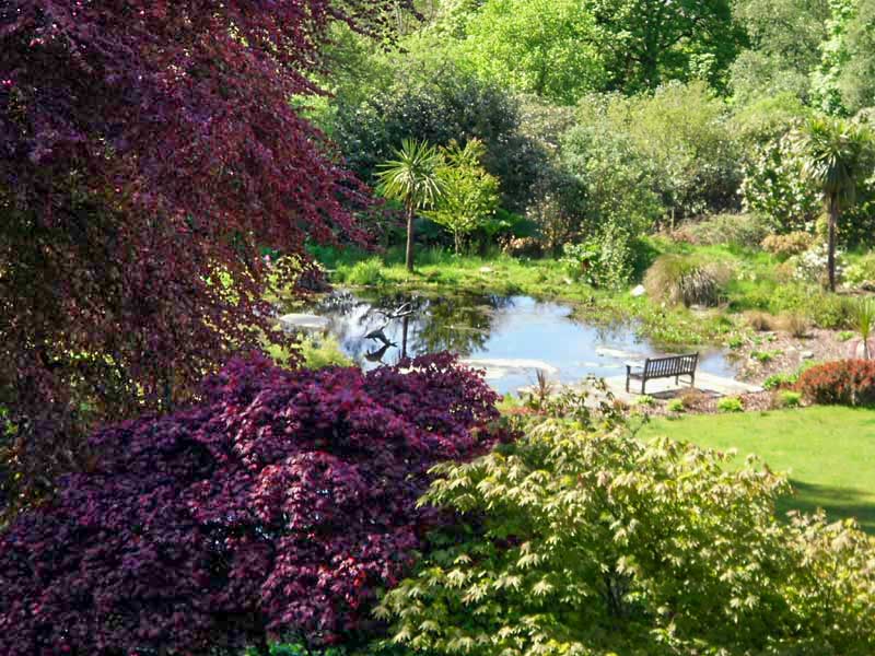 The gardens at Druimneil